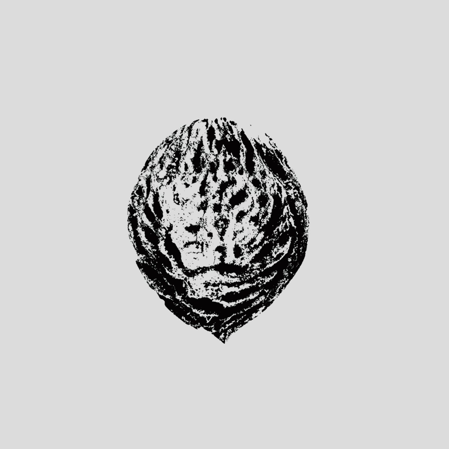 LP | Black Lips - Bebop Armageddon (Detours & Offcuts From Season Of The Peach)