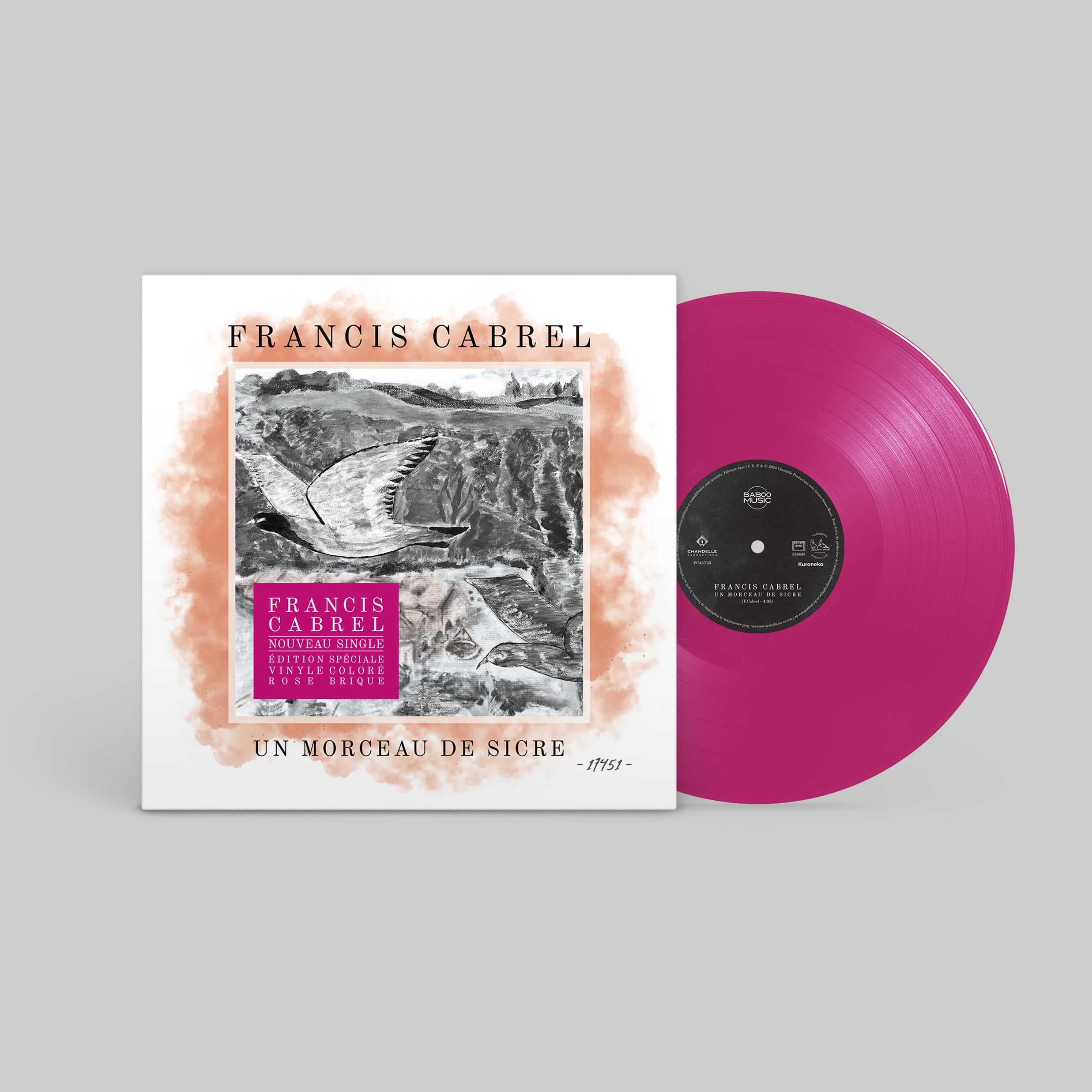 Paquet De 12 Flèches Adhésives HD Vinyle - Rose Flash 0924 - 0,75 X 7 - Autocollants Signalétique