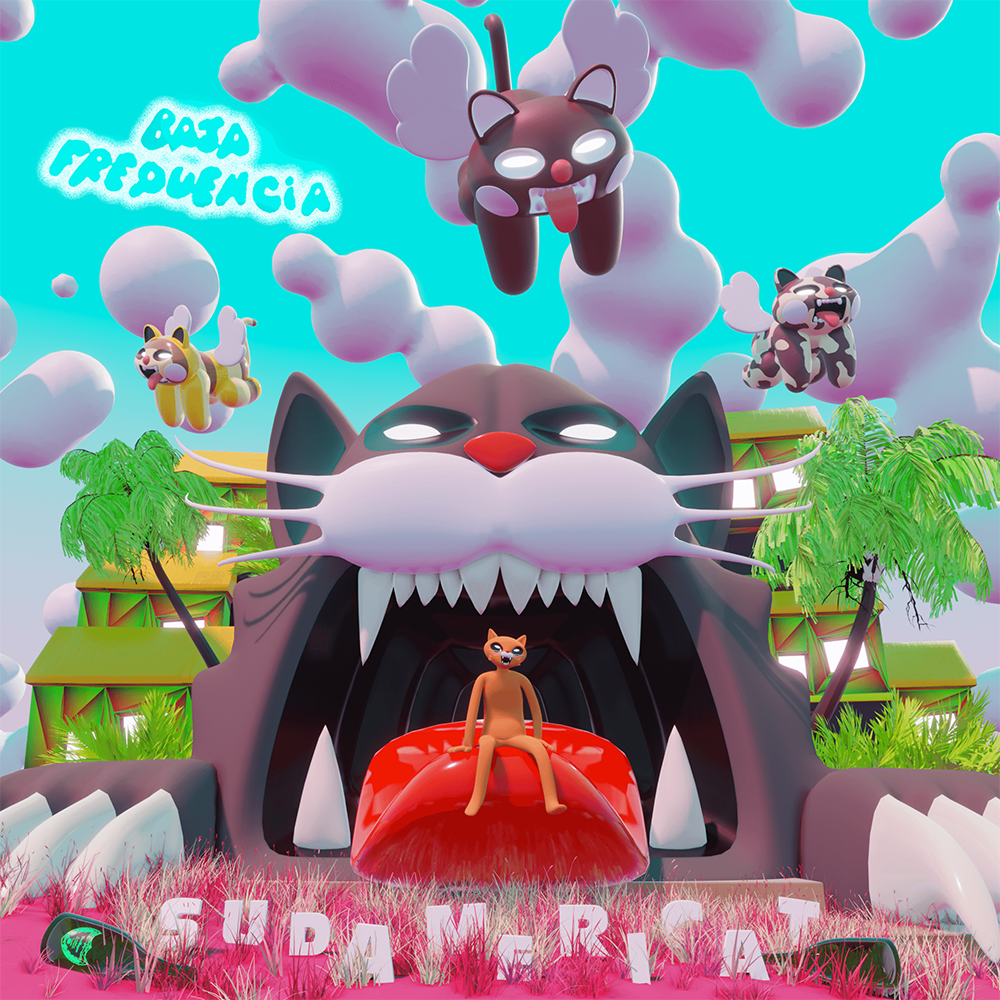 Vinyle  | SudAmericat|  Baja Frequencia