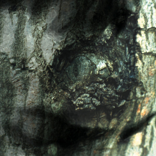 Yann Tiersen - La Valse des Monstres [CD]