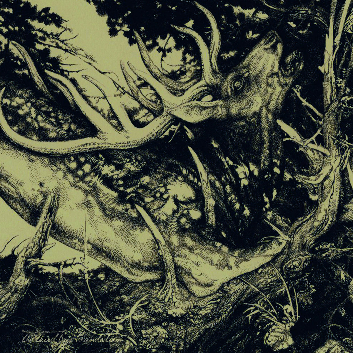 The Third Eye Foundation - The Dark [Vinyle]