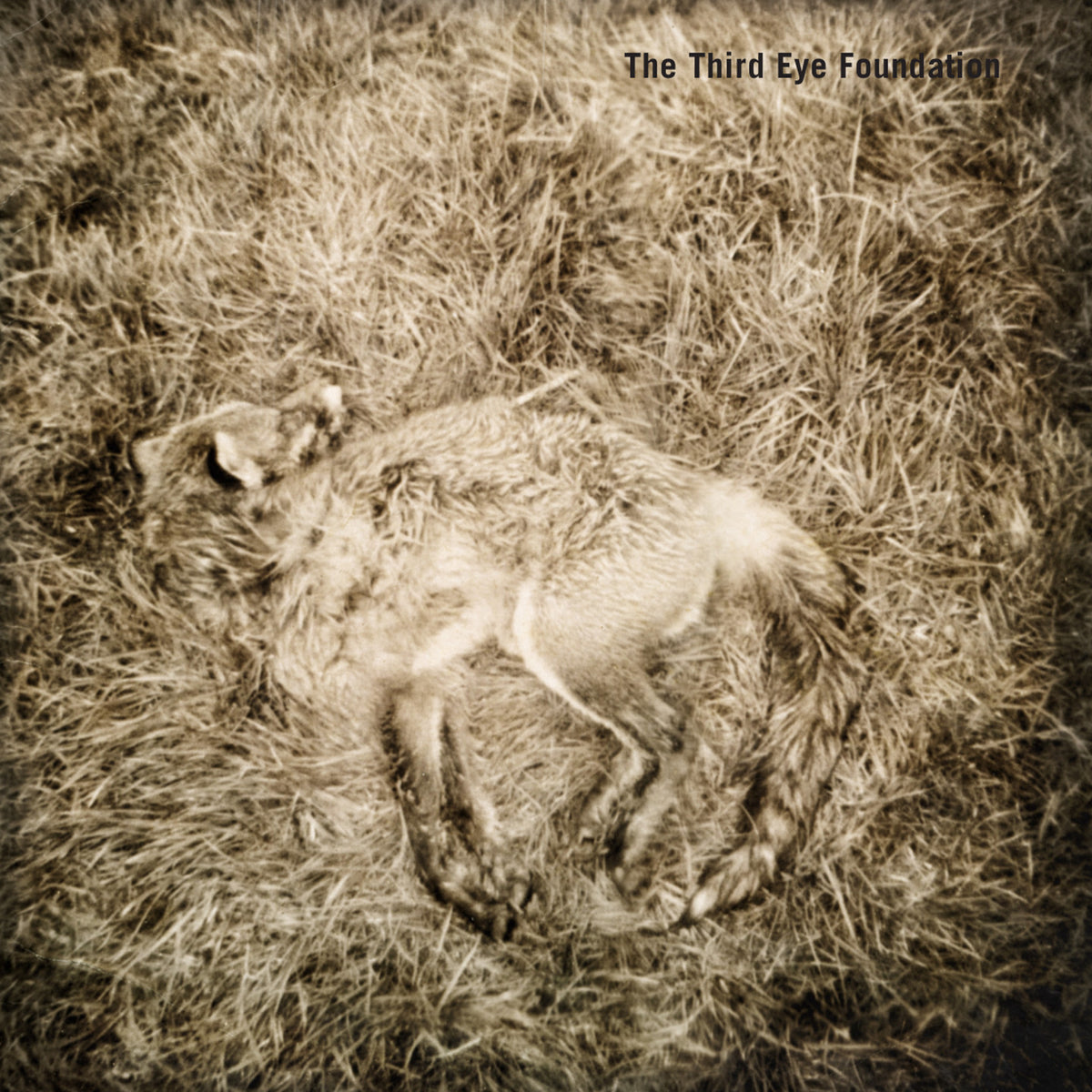 The Third Eye Foundation - Semtex [Vinyle + CD]