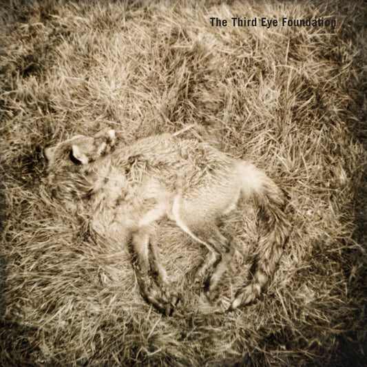 The Third Eye Foundation - Semtex [Vinyle + CD]