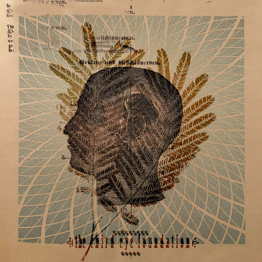 The Third Eye Foundation - Wake the dead [CD]
