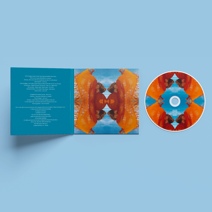 Vinyl | Fabien Martin "All I Do Is Walk in the Mountain"