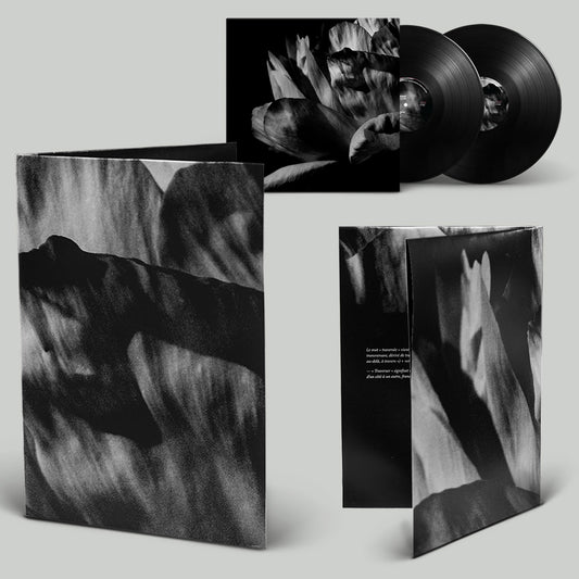 2LP BUNDLE | Louise Roam - Là où passe la nuit (vinyle + édition papier)