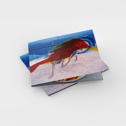 CD | Fast Friends - Domestic Eyes