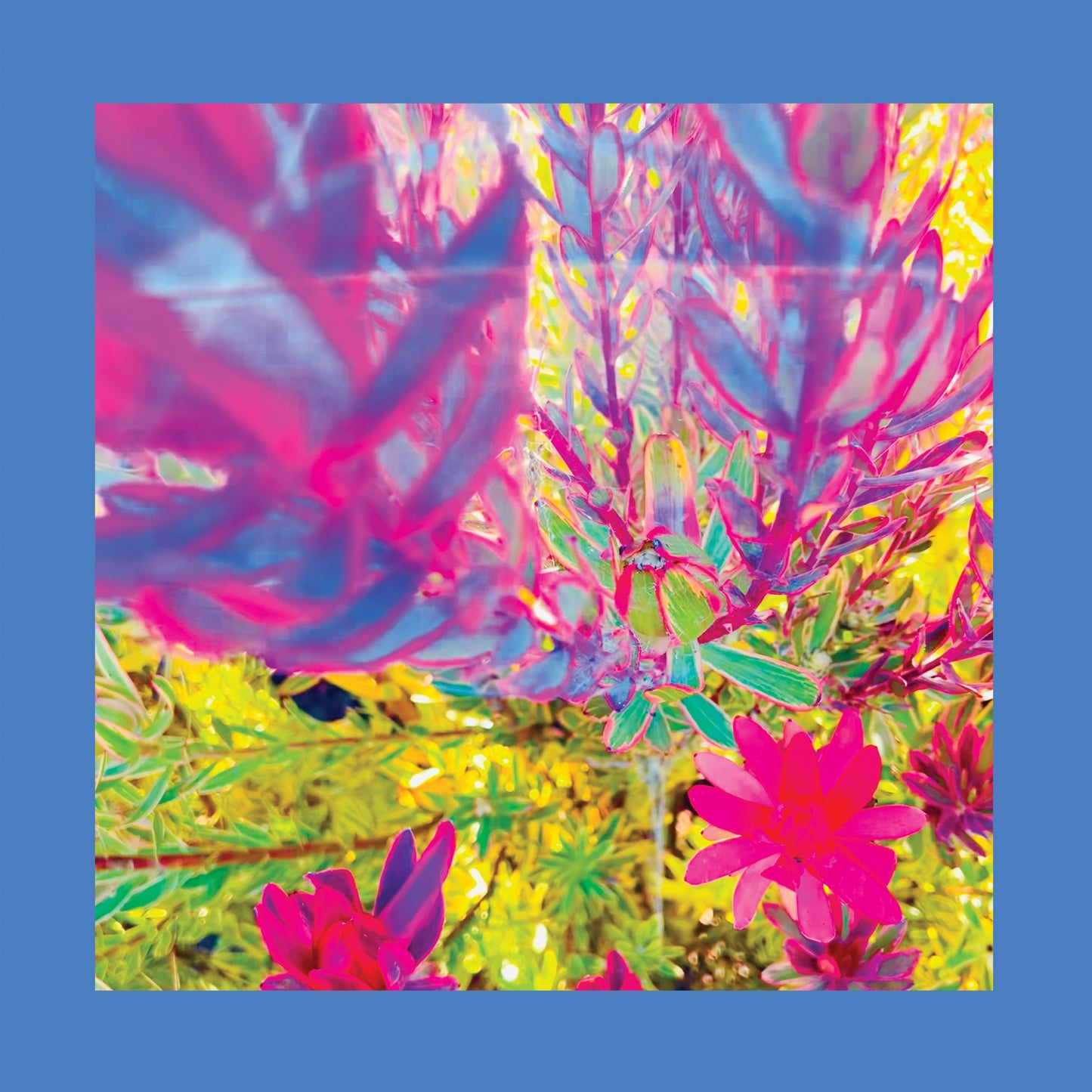 CD | The Reds Pinks and Purples - The Past is a Garden I Never Fed